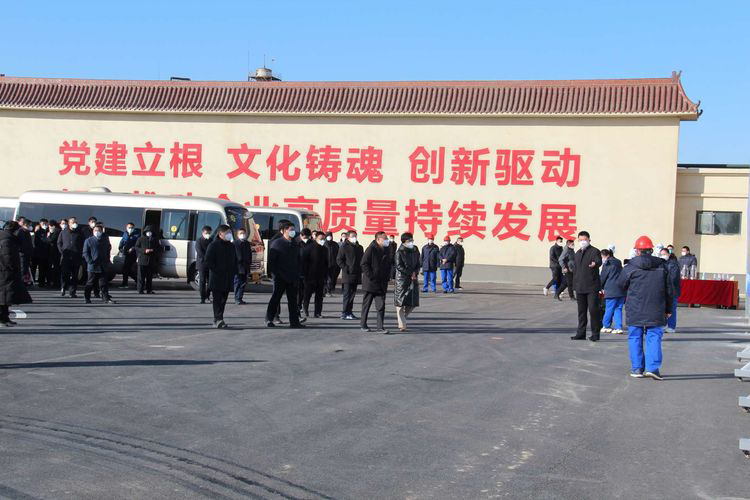 市委领导莅临糠醛厂家与糠醇厂家一诺生物