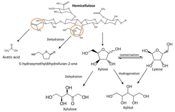 木质纤维素的进一步脱水产生糠醛,可以被氢化为糠醇,生产厂家