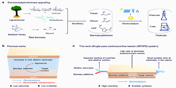公斤级连续化电催化生物质转化