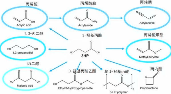 3-羟基丙酸(3-HP),1,2戊二醇厂家