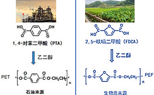 比PET更好的低碳生物基材料PEF,PEF与PET的对比